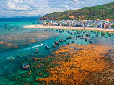 Nhơn Hải Hòn Khô 