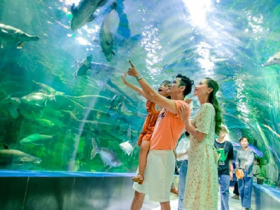 Viện Hải Dương Nha Trang 