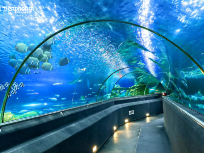 Thủy Cung Nha Trang 